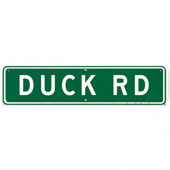 Duck RD Tin Sign - 16x4 Inches Duck-Themed Street Sign for Wall, Ideal for Bedroom, Garage, Patio | duck decor, street signs for bedroom, outdoor sign