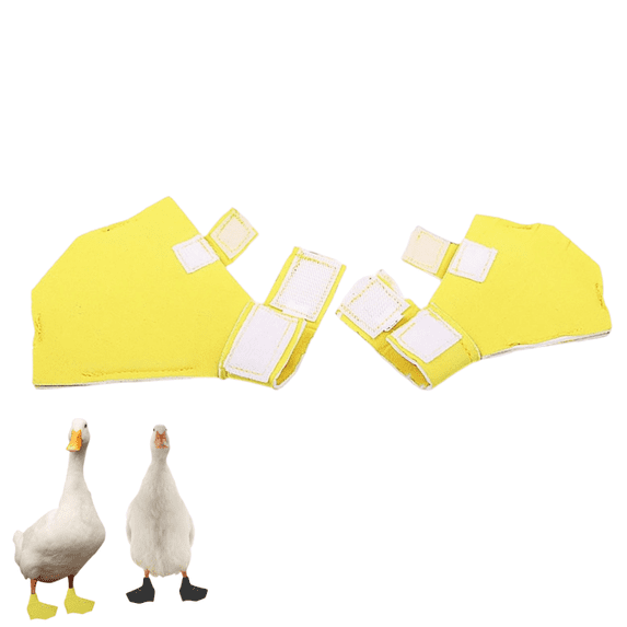 Duck Shoes for Injured Feet – Protective Neoprene Footwear for Ducks, Protective Shoes for Birds with Injured Feet