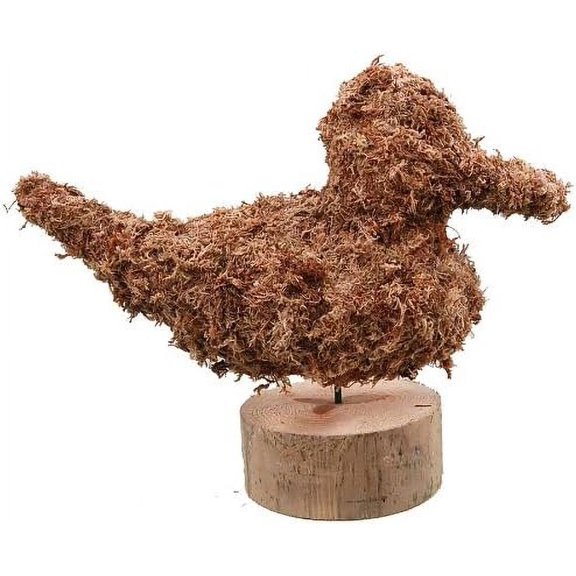 Duck Topiary Sphagnum Moss Filled Frame - 10"