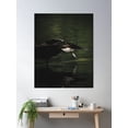 thumbnail image 1 of Duck Yoga Poster Wall Art, Modern Wall Decor For Living Room Bedroom, 16x24 UNFRAMED, 1 of 3