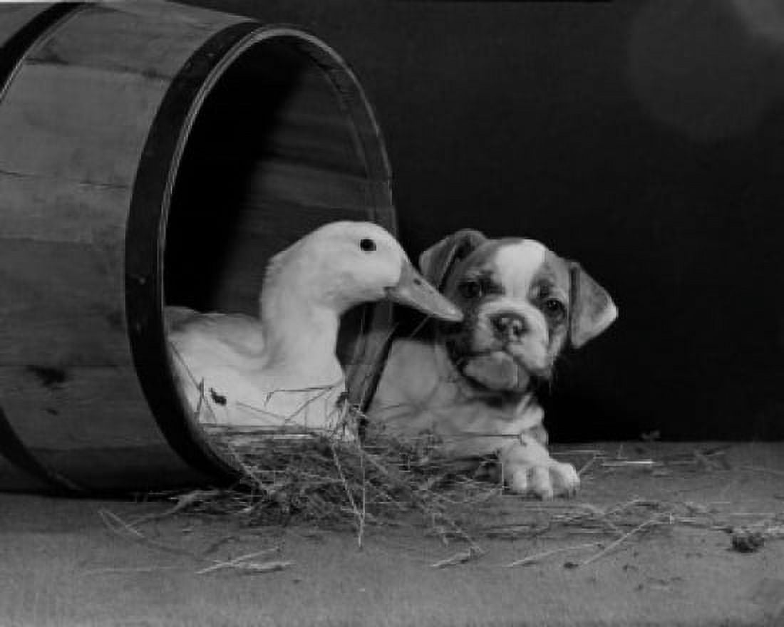 Duck and dog Canvas Art - (18 x 24)