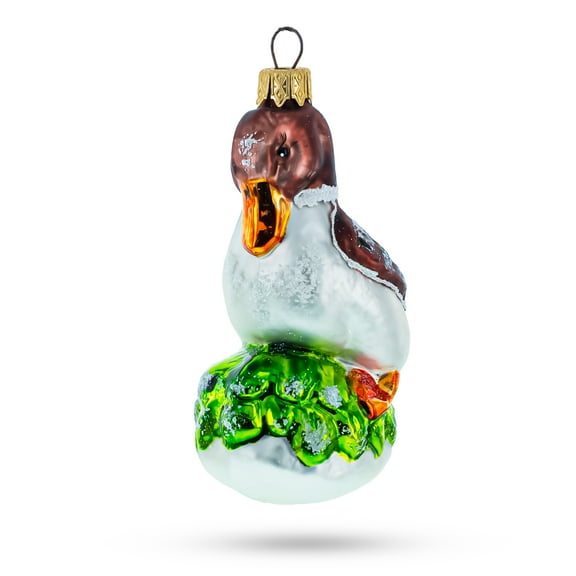 Brown Headed Duck on Grass Glass Christmas Ornament