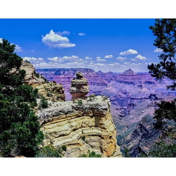 Duck-on-a-rock East Rim Drive South Rom Grand Canyon National Park Arizona USA Print by Panoramic Images