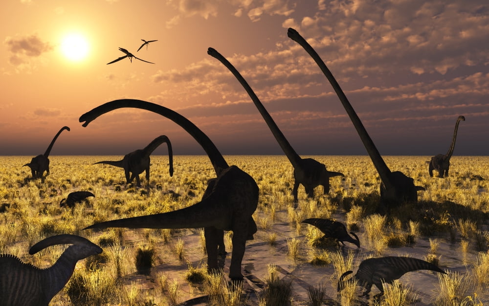 Duckbill dinosaurs and large sauropods share a feeding ground Canvas Art - Mark StevensonStocktrek Images (18 x 12)