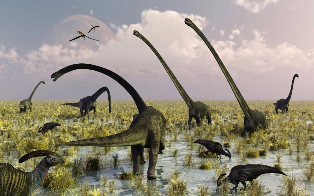 Duckbill dinosaurs and large sauropods share a feeding ground Canvas Art - Mark StevensonStocktrek Images (36 x 23)