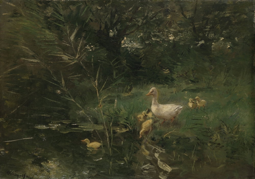 Ducklings Canvas Art - (36 x 24)