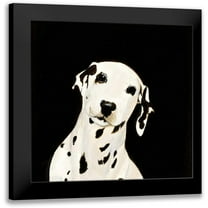Ducklow, Patsy 12x12 Black Modern Framed Museum Art Print Titled - Dakota II