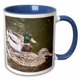 thumbnail image 1 of 3drose, Ducks, 11oz Two-tone Blue Mug, 1 of 6