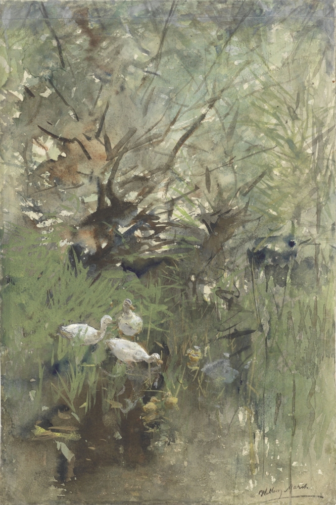 Ducks Among Willows Canvas Art - (18 x 24)
