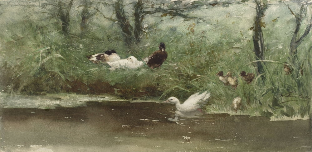 Ducks In The Ditch Canvas Art - (24 x 18)