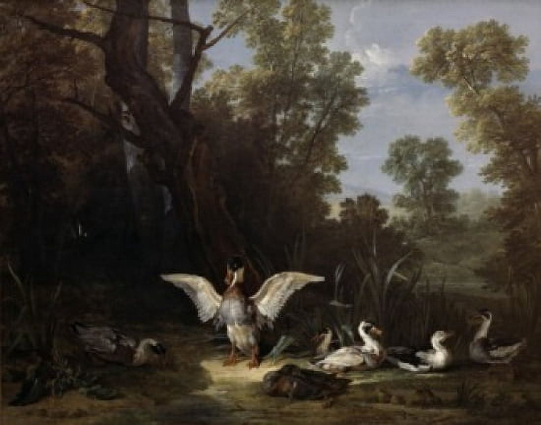 Ducks Jean-Baptiste Oudry (1686-1755 French) Canvas Art - Jean-Baptiste Oudry (18 x 24)