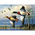thumbnail image 1 of Ducks | Paint By Numbers, 1 of 6