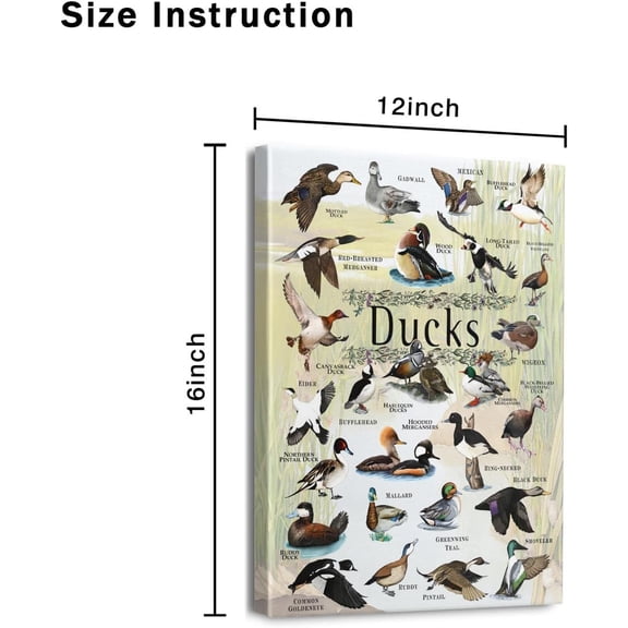 Ducks Wall Art Duck Decor for Living Room Home