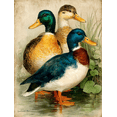 thumbnail image 1 of Ducks in Pond Canvas Print, Antique Bird Artwork, Vintage Farmhouse Style Wall Decor, 1 of 8