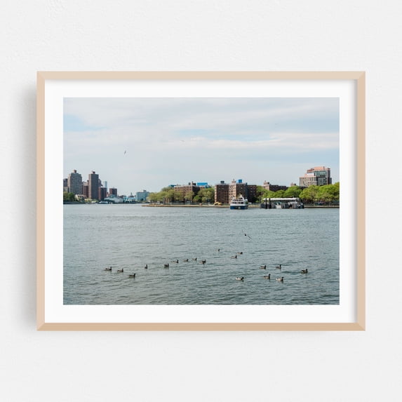 Ducks in the East River - Queens New York Photography City Harbor Skyline Boat Scenic Architecture Oak Framed Wall Art Print 12 x 16 inches