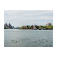 thumbnail image 1 of Ducks in the East River - Queens New York Photography City Harbor Skyline Boat Scenic Architecture Unframed Wall Art Print 22 x 28 inches, 1 of 4