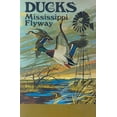 thumbnail image 1 of Ducks of the Mississippi Flyway (Paperback), 1 of 1