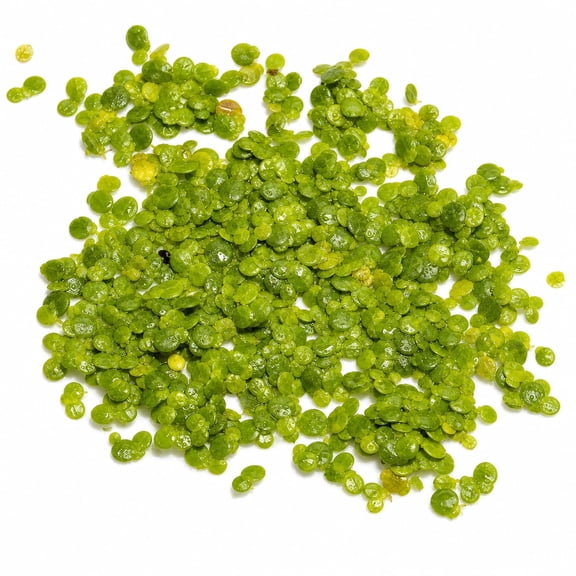 Canton Aquatics Duckweed Live Floating Aquarium Plant, 2 oz Portion, 1 Count