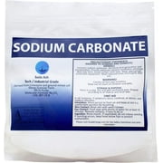 Duda Energy Dense Sodium Carbonate, 99.8+% Purity - pH Adjuster for Pools, Spas, and Dishwashers, 1 lb Bag