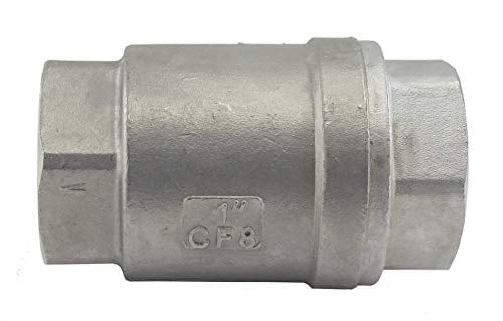 Duda VCVWOG1000F100 Vertical Check Valve, 304 Stainless Steel, 1" NPT