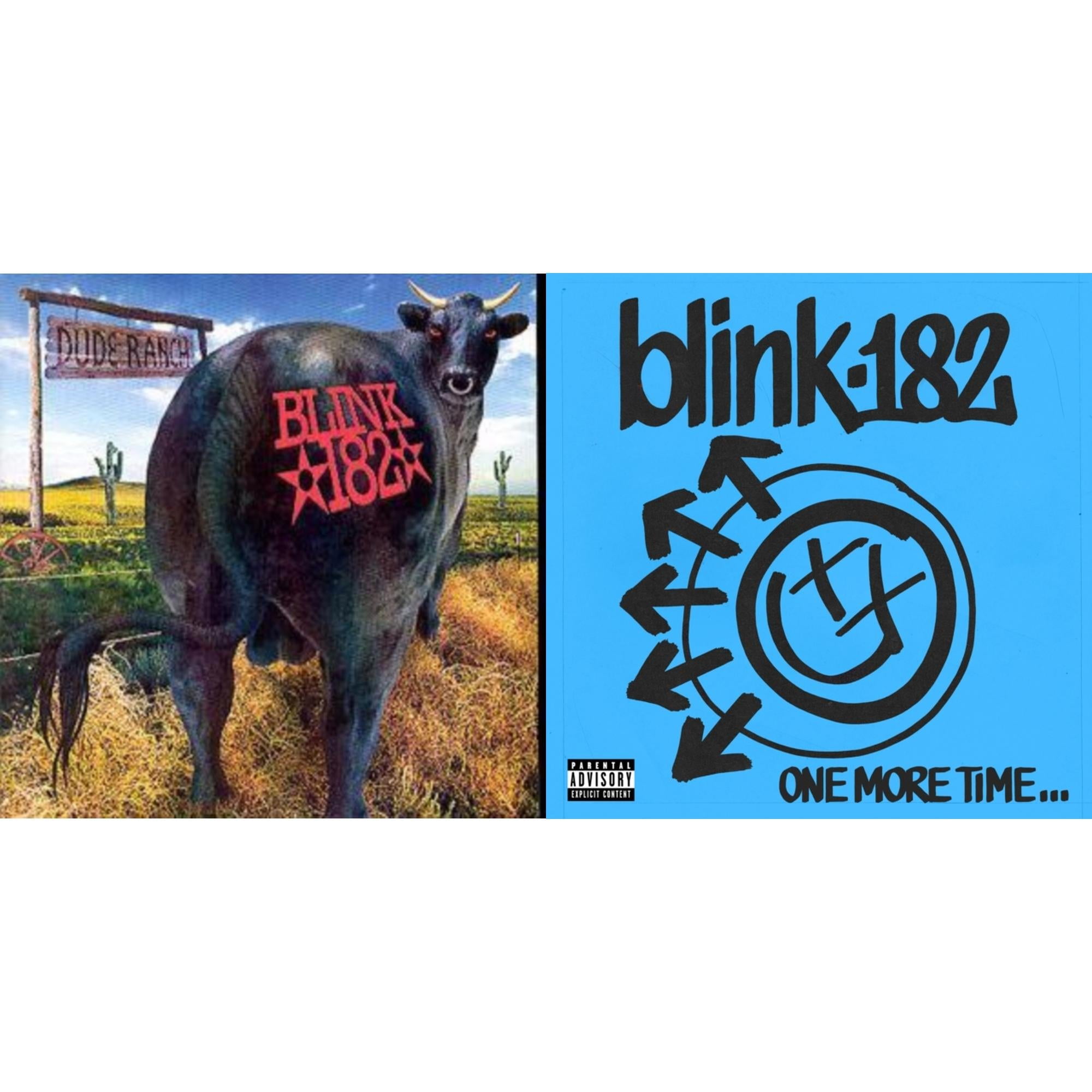 Brand: Blink 182