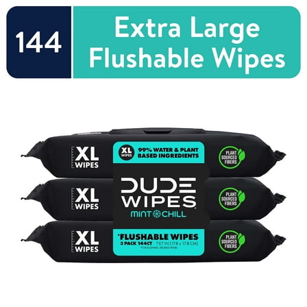 DUDE Flushable Wipes, Extra Large Mint Chill Wet Wipes, 48 Count, 3 Pack (144 Total)