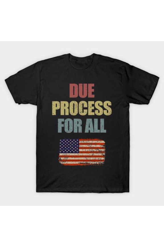 Due Process For All Legal Rights 14th Amendment Constitution Social Justice Unisex T-Shirt Y0842, Up to Size 5XL