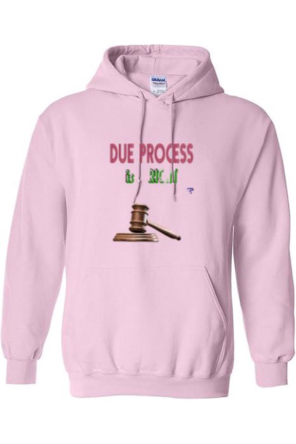 Due Process Justice Law Legal Rights Equality Fair Trial Graphic Pullover Hoodie, up to size 5XL