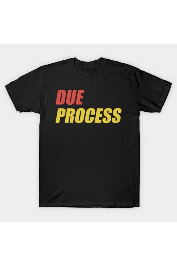 Due Process Legal Rights 14th Amendment Constitution Retro Graphic Art Unisex T-Shirt Y1370, Up to Size 5XL