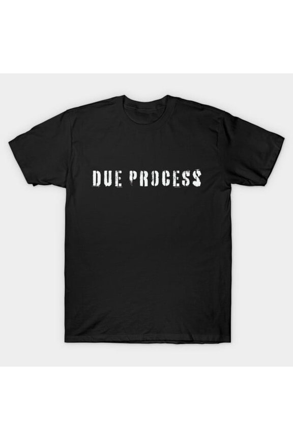 Due Process Legal Rights 14th Amendment Constitution Social Justice Equality Unisex T-Shirt - Everyday Gift