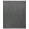 thumbnail image 1 of Due Process Stable Trading Sisal de Tapis Braxton Sterling Area Rug, 3 x 5 ft., 1 of 1