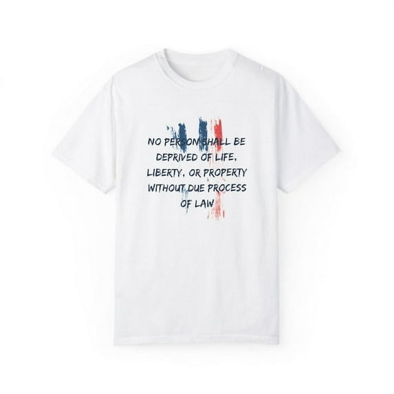 Due Process T-Shirt the 5th Amendment to the Constitution Protects Us All Freedom and Justice Tee Unisex Graphic Shirt for Activists