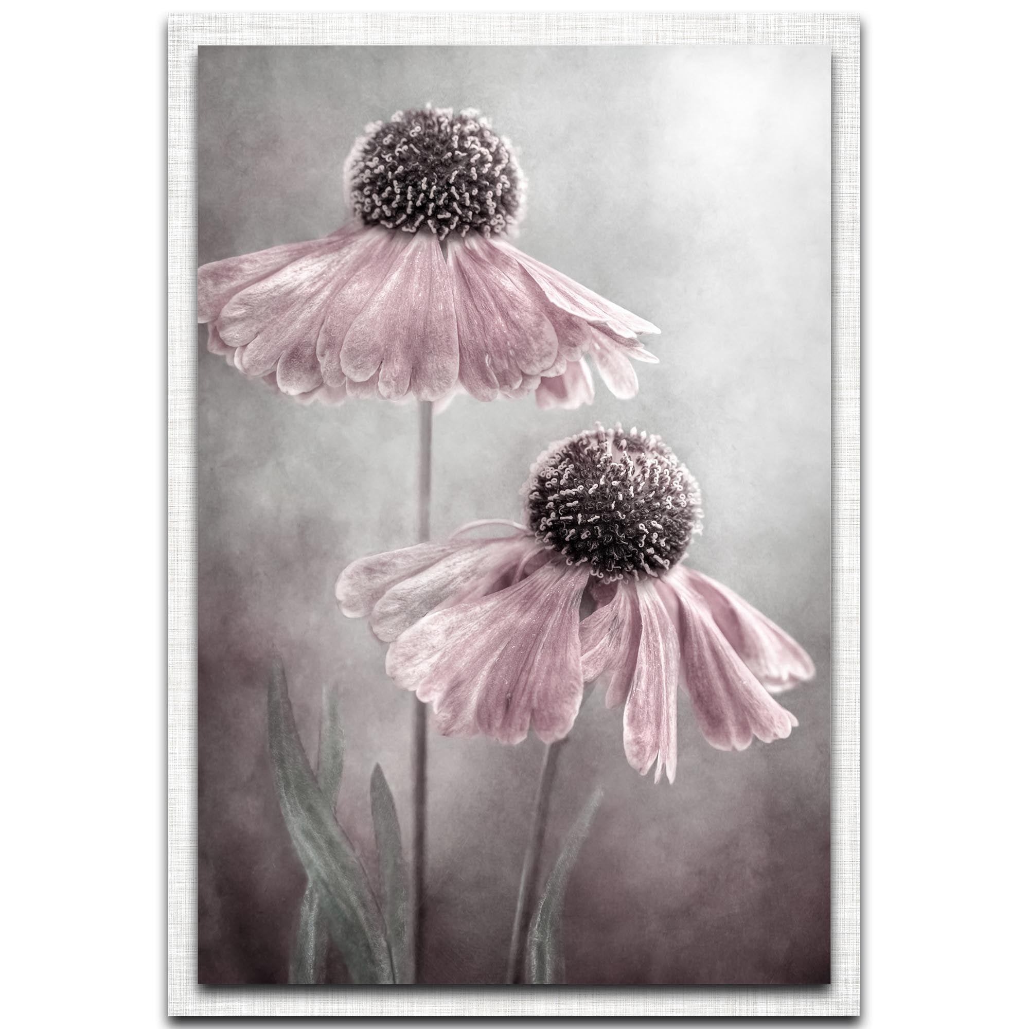 Duet Parchment Frame