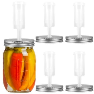 Make Your Own Pickles Kit — Anarchy in a Jar