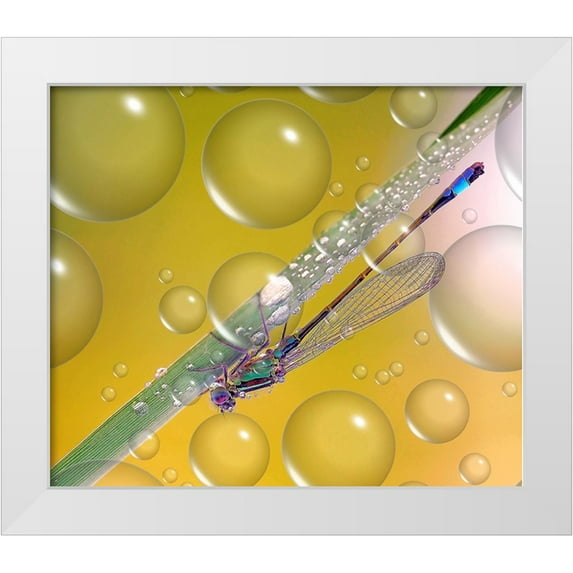 Dufour, Thierry 17x15 White Modern Wood Framed Museum Art Print Titled - Anti-Heat Wave Dew...