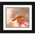 thumbnail image 1 of Dufour, Thierry 30x26 Black Ornate Wood Framed with Double Matting Museum Art Print Titled - Hamburger For The Meal..., 1 of 4