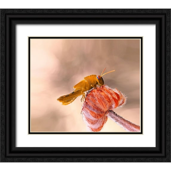 Dufour, Thierry 30x26 Black Ornate Wood Framed with Double Matting Museum Art Print Titled - Hamburger For The Meal...