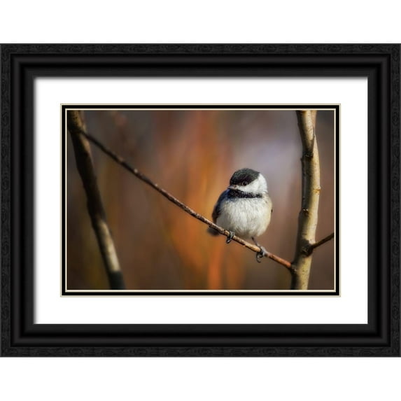 Duguay, Christian 18x13 Black Ornate Wood Framed with Double Matting Museum Art Print Titled - Litlle Qthingq