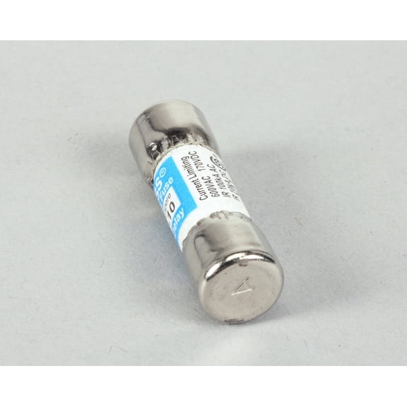 Duke 153201 Fuse,10Amp Time Delay (10/Ctn)