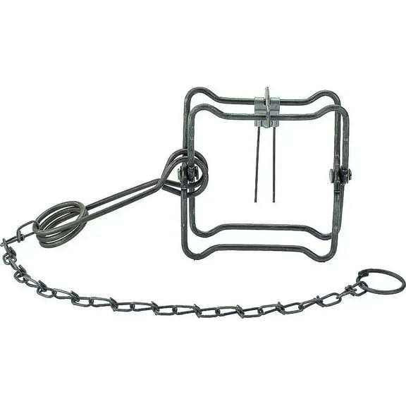 Duke Pecan 0400 Wildlife Body Trap 4-1/2 Jaw Spread