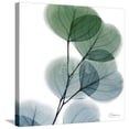 thumbnail image 1 of Dull Eucalyptus, Botanical Stretched Canvas Wall Art by Albert Koetsier Sold by Art.Com, 1 of 5