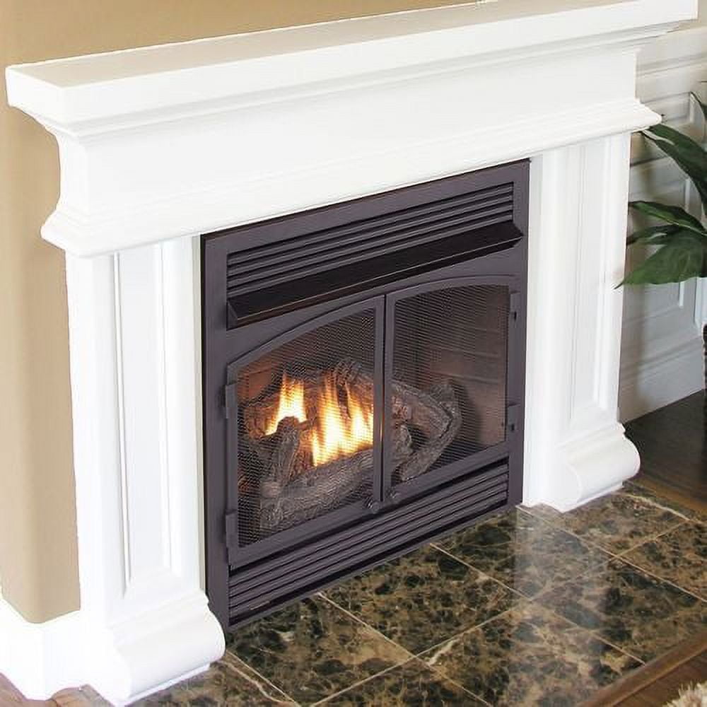 Duluth Forge Dual Fuel Ventless Gas Fireplace Insert - 32,000 BTU, T-Stat  Control Model FDF400T-ZC - Walmart.com