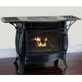 thumbnail image 1 of Duluth Forge Dual Fuel Ventless Gas Stove, Gloss Finish, Remote Control - Model FDSR25-GF, 1 of 7