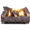 thumbnail image 1 of Duluth Forge Ventless Natural Gas Log Set - 21 in. Winter Oak, 32,000 BTU, T-Stat Control - Model# DLS-N22T, 1 of 9