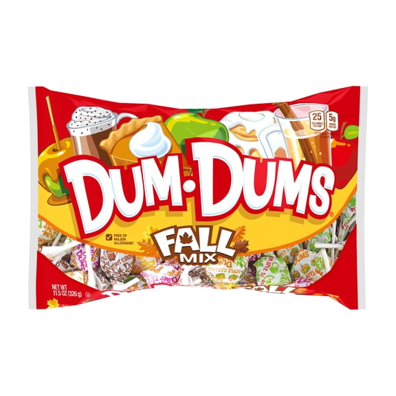 Dum Dums Fall Mix Assorted Flavor Lollipops Hard Candy 11.5 oz. Lay Down Bag