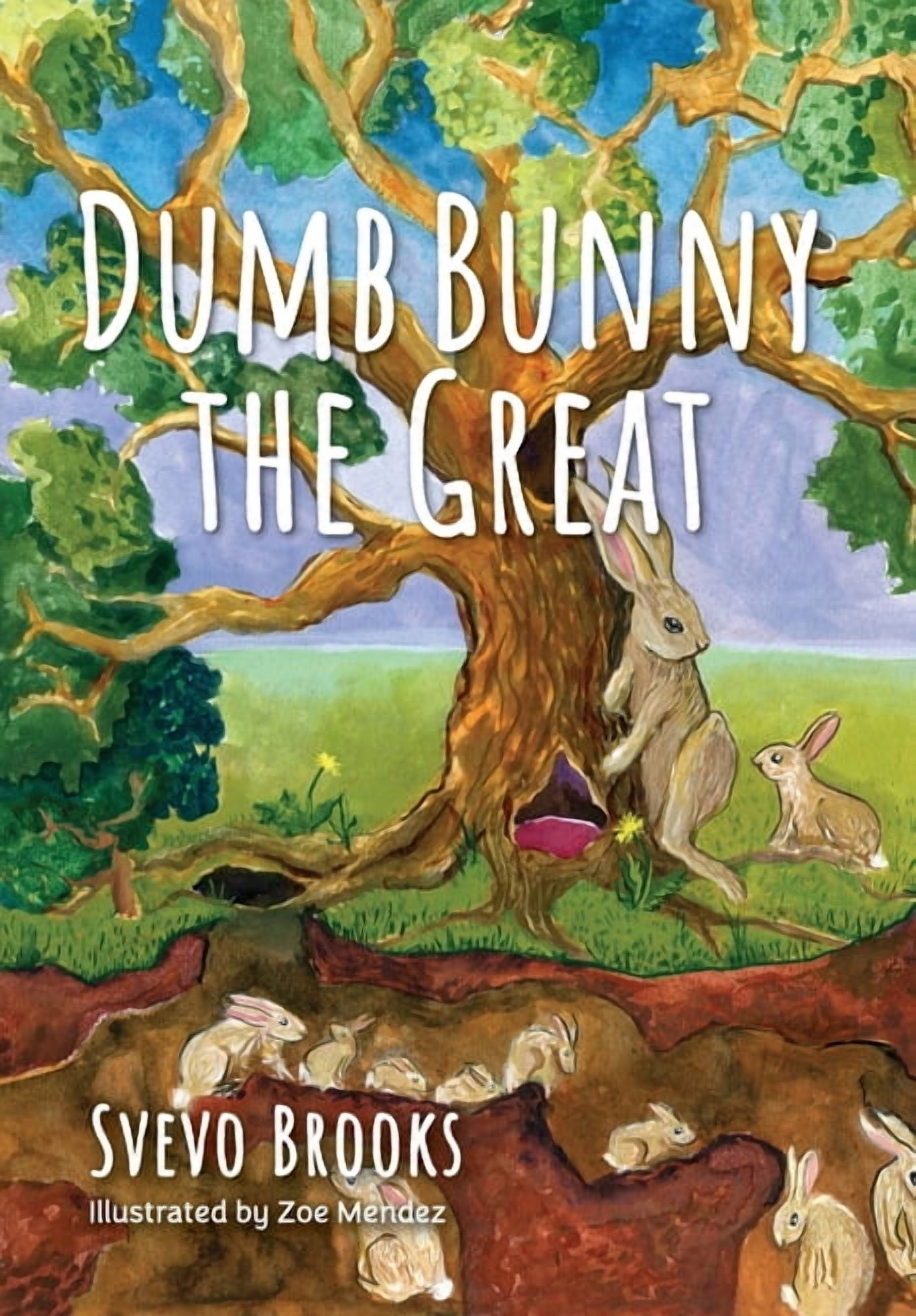 Dumb Rabbit Dumb Bunny the Great, (Hardcover) - Walmart.com