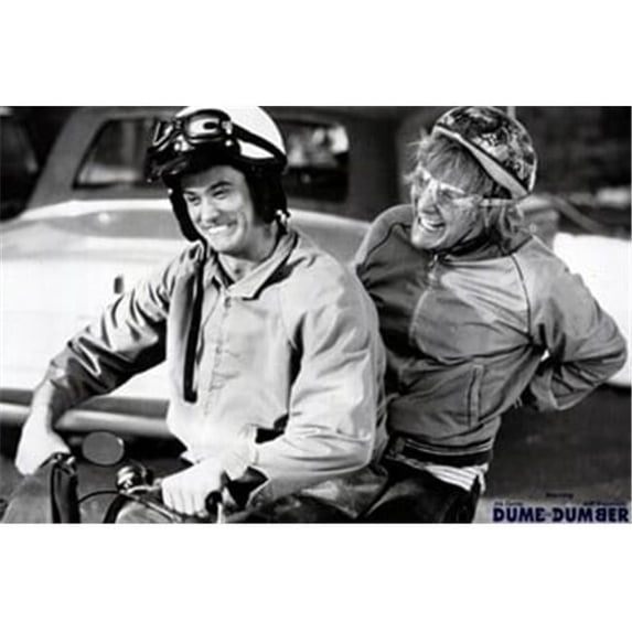 Dumb & Dumber Movie Poster, 17 x 11