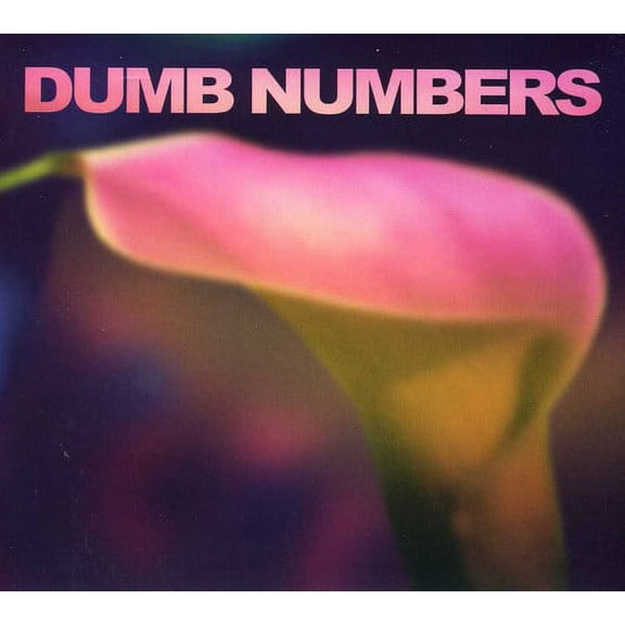Dumb Numbers - Dumb Numbers - Music & Performance - CD