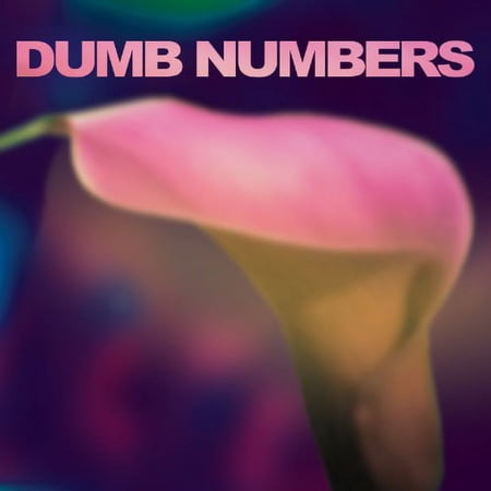 Dumb Numbers - Dumb Numbers - Music & Performance - Vinyl