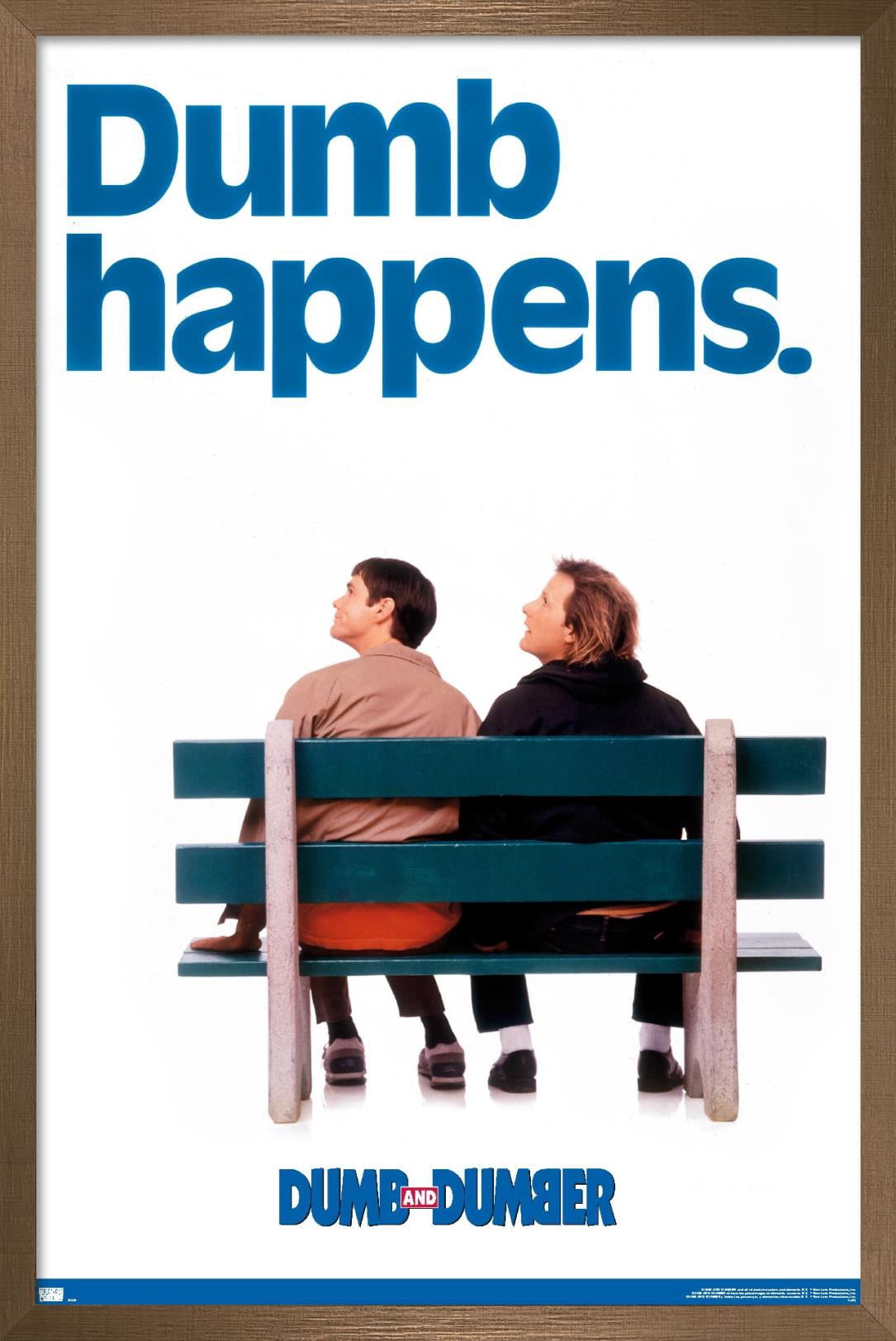 Dumb and Dumber - Dumb Happens Wall Poster, 22.375" x 34", Framed